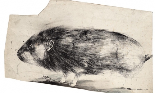 RAT, 1961, India ink on paper, 57 × 99 cm